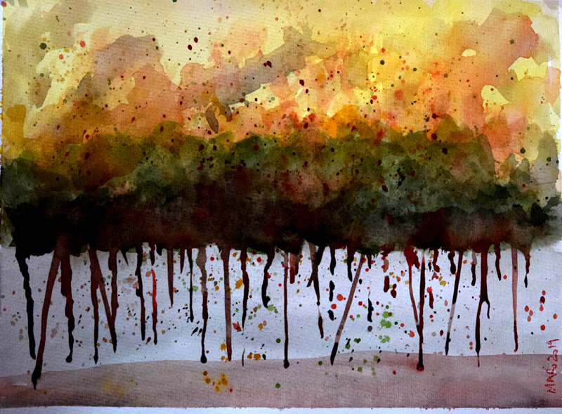 Amazon RainFOREST2